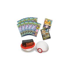 Pokemon TCG Pokemon GO Premier Deck Holder Raid Collection Dragonite VSTAR